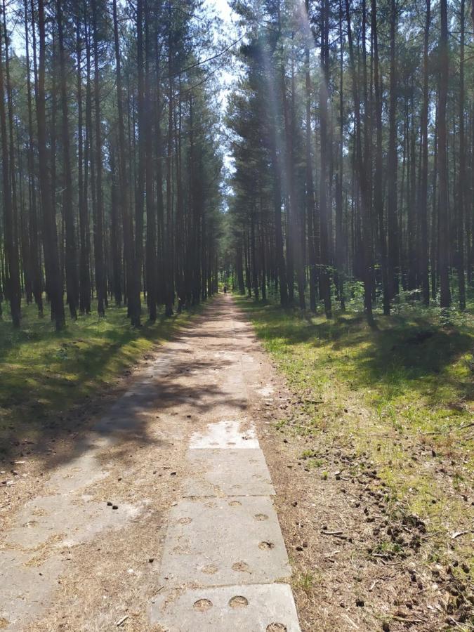 Home&Slow Life Gdansk Bagian luar foto