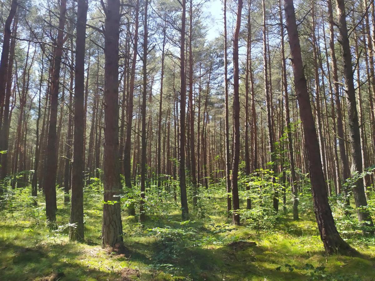 Home&Slow Life Gdansk Bagian luar foto