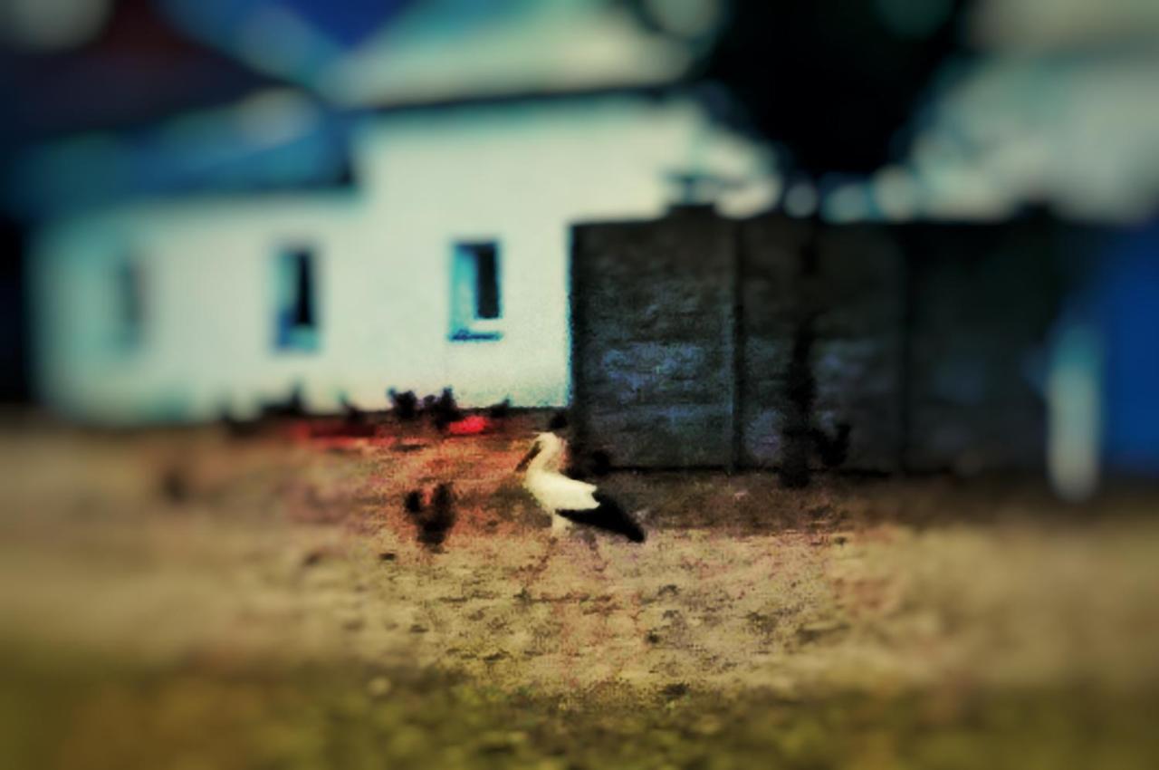 Home&Slow Life Gdansk Bagian luar foto
