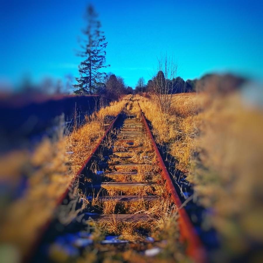 Home&Slow Life Gdansk Bagian luar foto